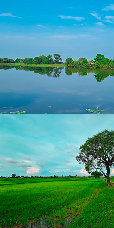 Jungle-View-Inn-Trincomalee-Hotel