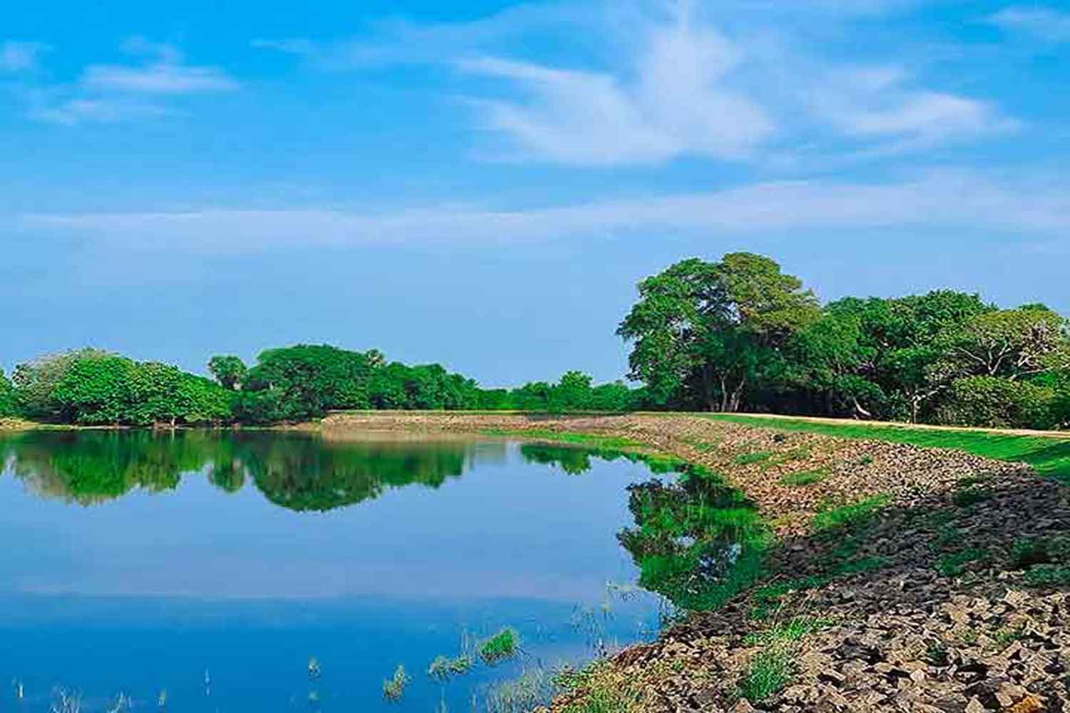 Jungle-View-Inn-Trincomalee-Hotel